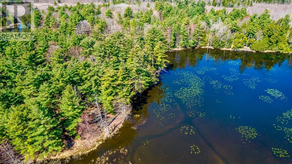 Part Lot 20 Dixie Road, Athens, Ontario  K0E 1B0 - Photo 3 - 40597585