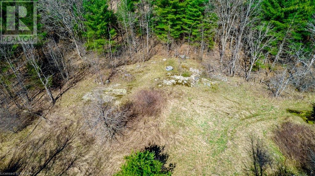 Part Lot 20 Dixie Road, Athens, Ontario  K0E 1B0 - Photo 6 - 40597585