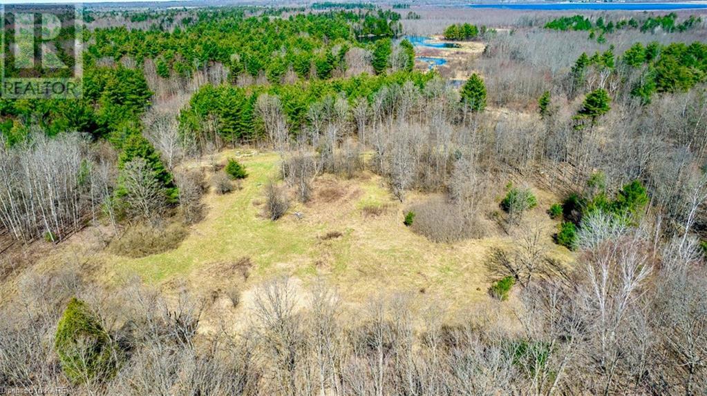 Part Lot 20 Dixie Road, Athens, Ontario  K0E 1B0 - Photo 7 - 40597585