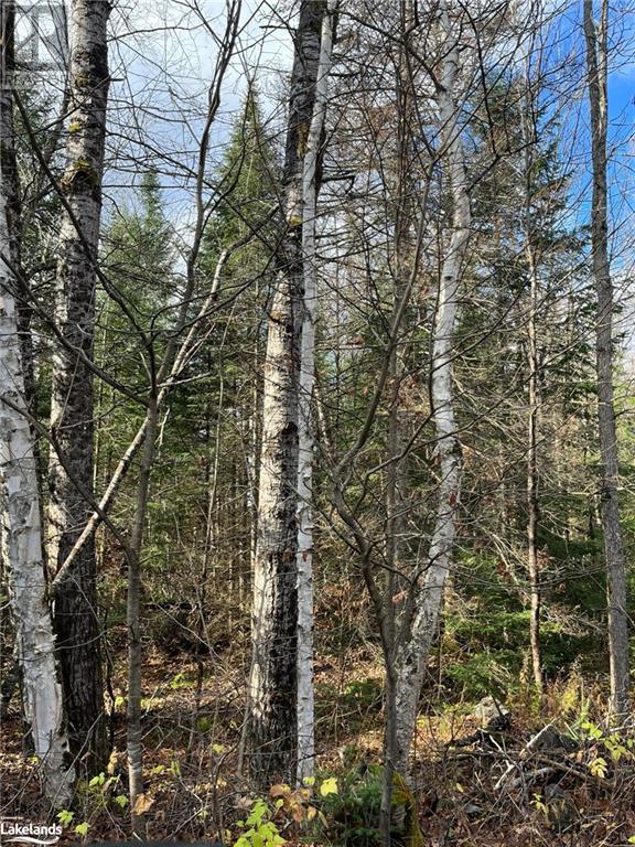 3254 RAVENSCLIFFE Road, huntsville, Ontario