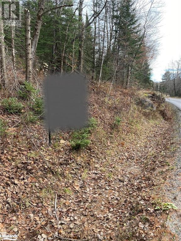 3254 Ravenscliffe Road, Huntsville, Ontario  P1H 1N5 - Photo 10 - 40595812