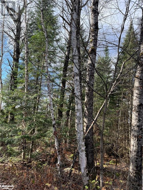 3254 Ravenscliffe Road, Huntsville, Ontario  P1H 1N5 - Photo 2 - 40595812
