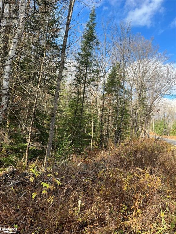 3254 Ravenscliffe Road, Huntsville, Ontario  P1H 1N5 - Photo 3 - 40595812