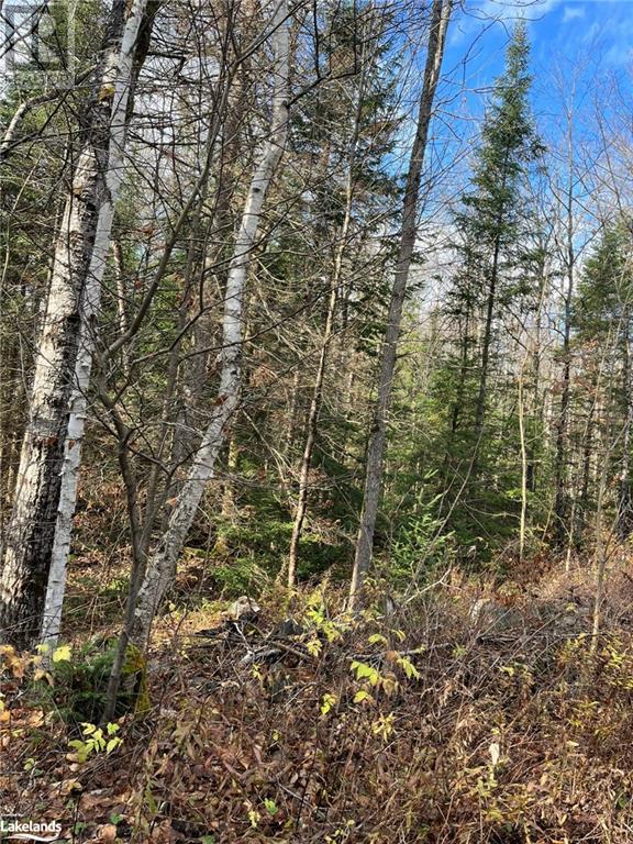 3254 Ravenscliffe Road, Huntsville, Ontario  P1H 1N5 - Photo 4 - 40595812