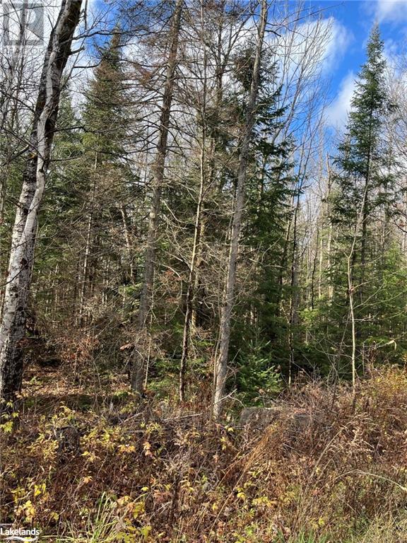 3254 Ravenscliffe Road, Huntsville, Ontario  P1H 1N5 - Photo 6 - 40595812