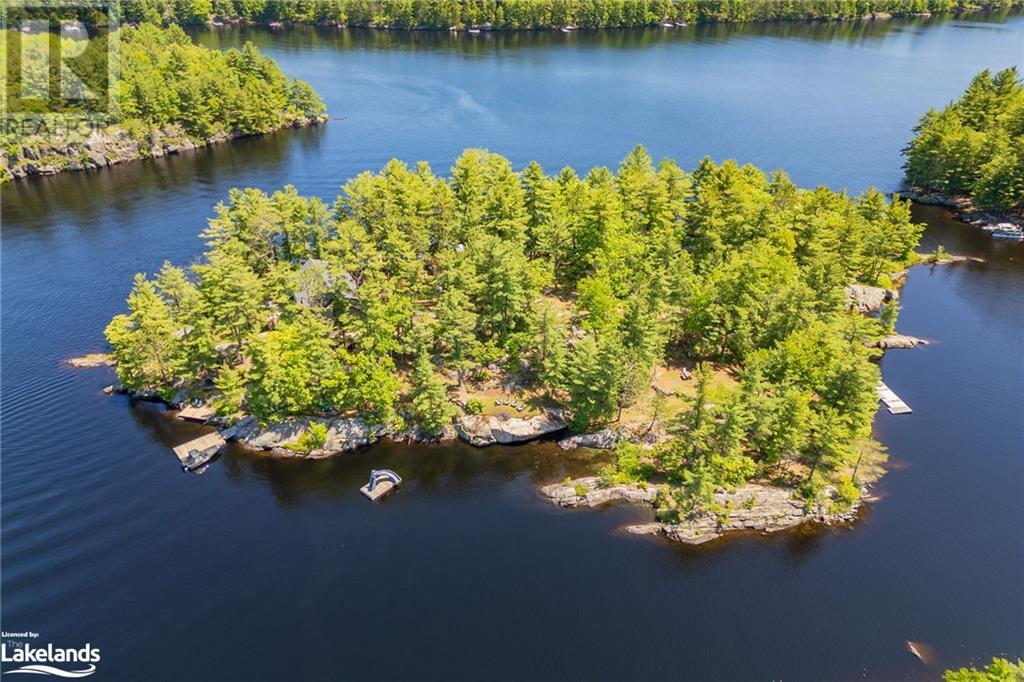1 Nine Mile Island Island, Torrance, Ontario  P0C 1M0 - Photo 38 - 40595707