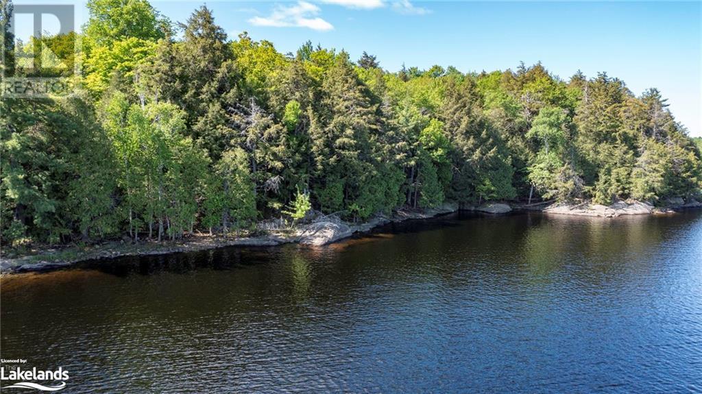 6 Wahwashkesh Lake, Whitestone, Ontario  P0A 1G0 - Photo 24 - 40592359