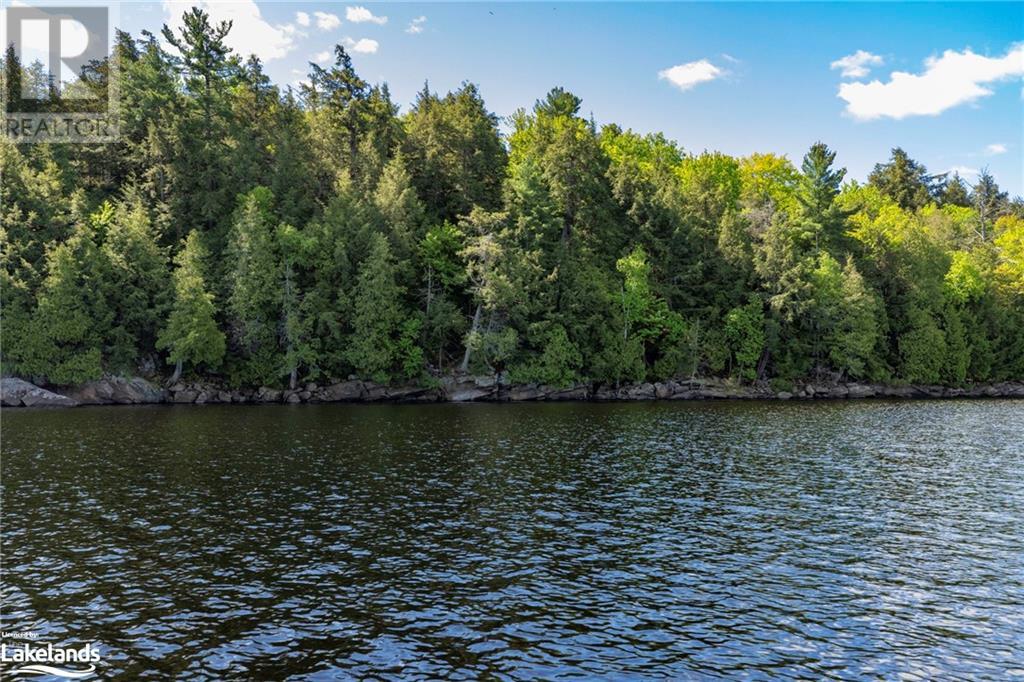 6 Wahwashkesh Lake, Whitestone, Ontario  P0A 1G0 - Photo 29 - 40592359