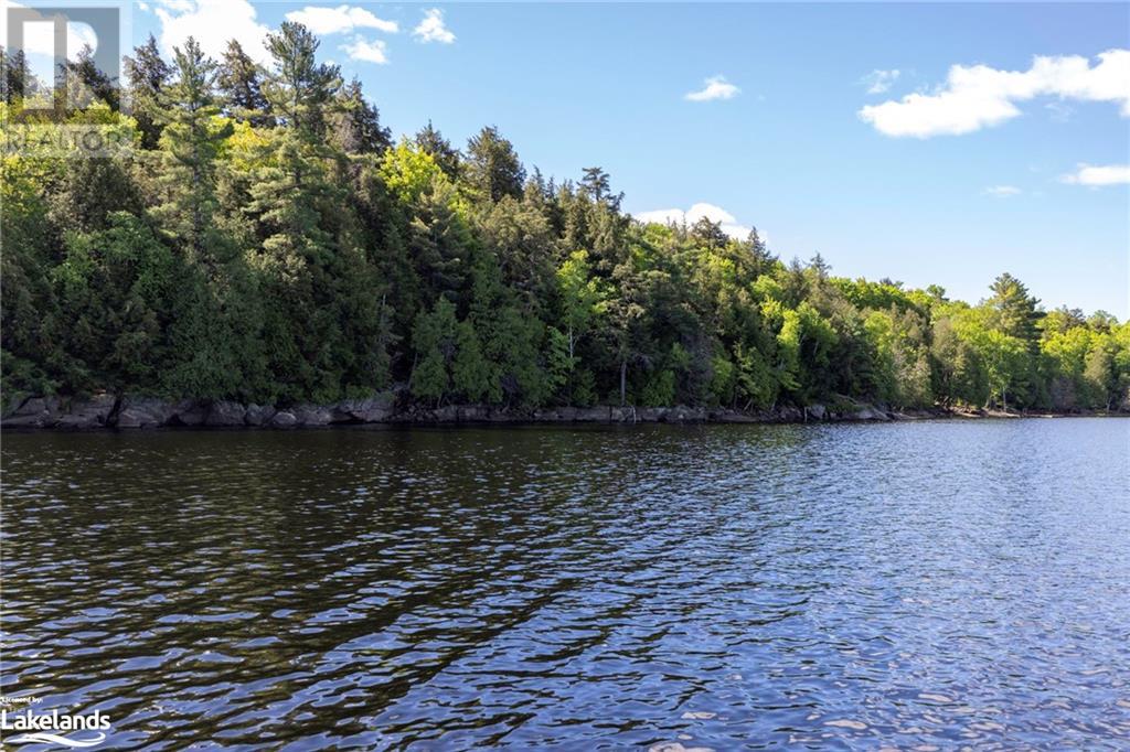 6 Wahwashkesh Lake, Whitestone, Ontario  P0A 1G0 - Photo 31 - 40592359