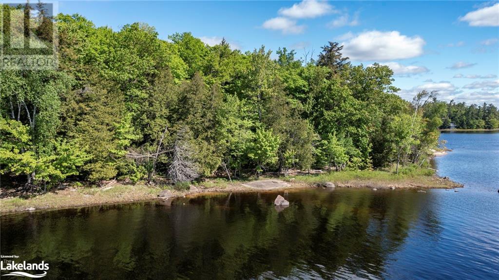5 Wahwashkesh Lake, Whitestone, Ontario  P0A 1G0 - Photo 16 - 40592330