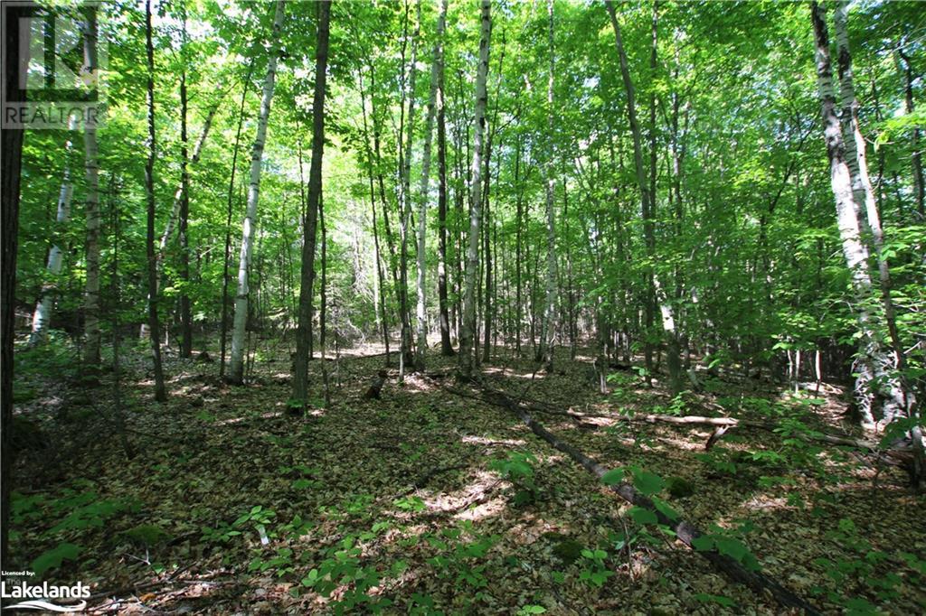 000 Alsace Road, Nipissing, Ontario  P0H 1W0 - Photo 10 - 40597009