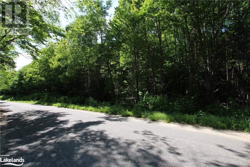 000 Alsace Road, Nipissing, Ontario  P0H 1W0 - Photo 2 - 40597009