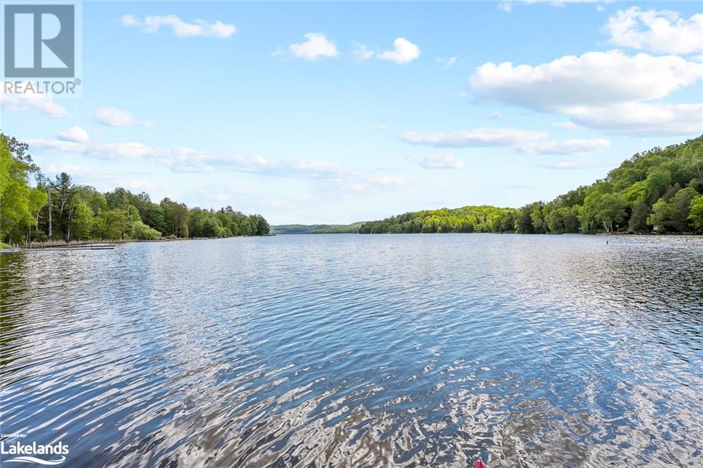 1036 Shirleys Road, Haliburton, Ontario  K0M 1S0 - Photo 39 - 40597231