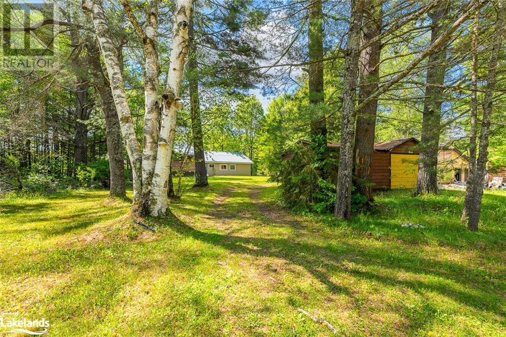 1036 Shirleys Road, Haliburton, Ontario  K0M 1S0 - Photo 4 - 40597231