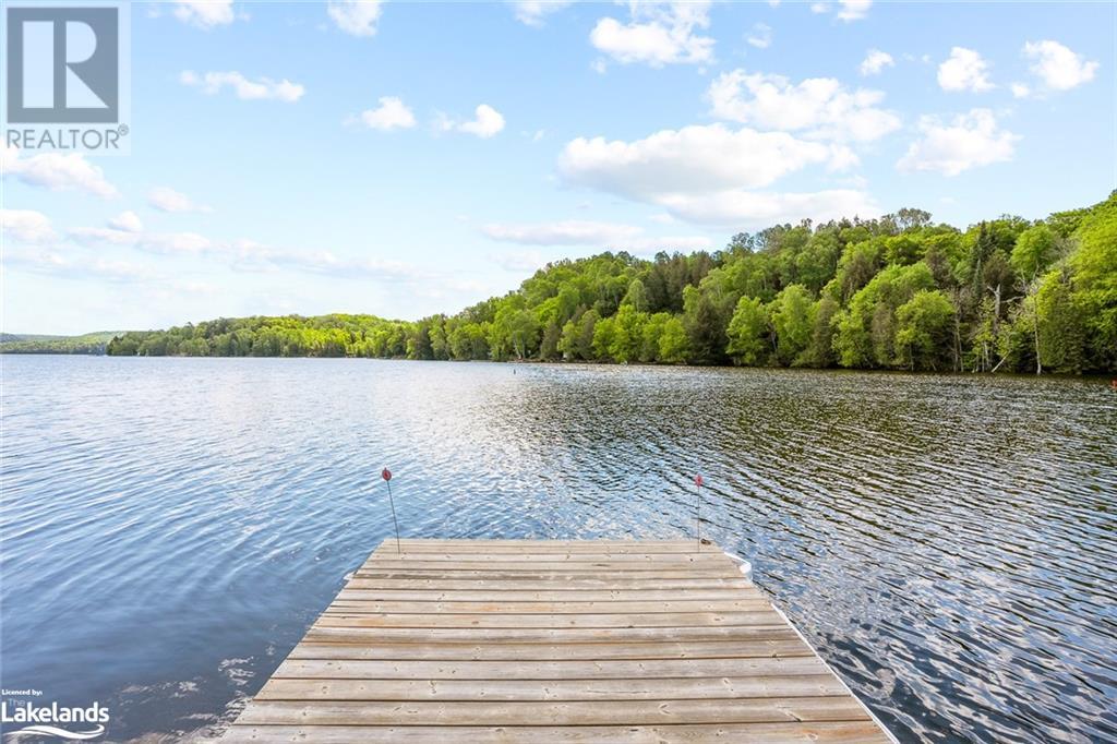 1036 Shirleys Road, Haliburton, Ontario  K0M 1S0 - Photo 38 - 40597231