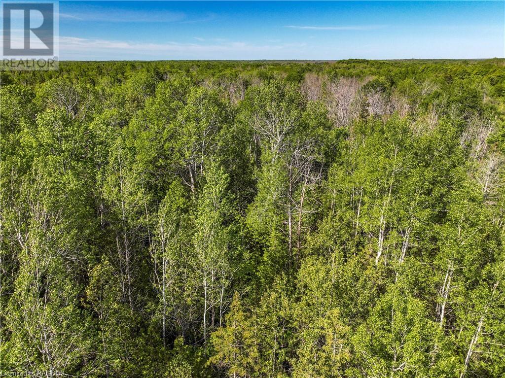 Lot 39 Bartley Drive, Northern Bruce Peninsula, Ontario  N0H 1Z0 - Photo 13 - 40593505