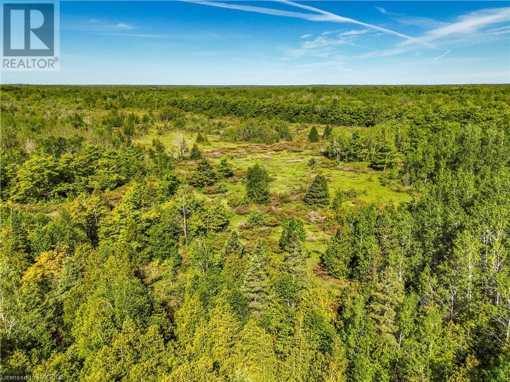 Lot 39 Bartley Drive, Northern Bruce Peninsula, Ontario  N0H 1Z0 - Photo 16 - 40593505