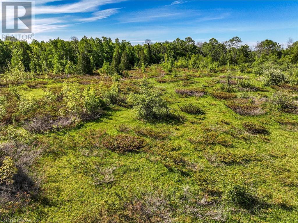 Lot 39 Bartley Drive, Northern Bruce Peninsula, Ontario  N0H 1Z0 - Photo 17 - 40593505