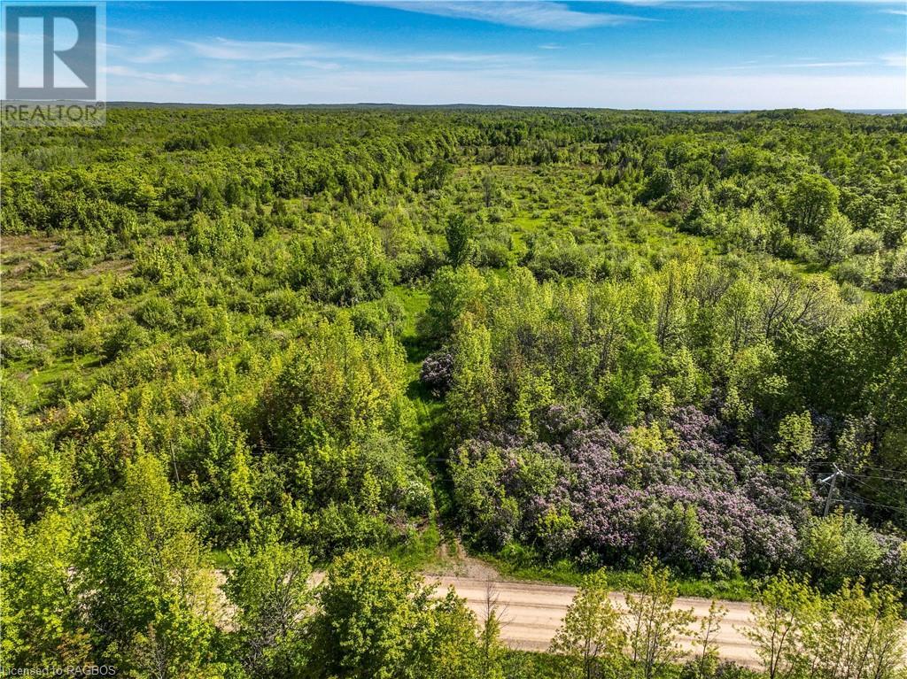 Lot 39 Bartley Drive, Northern Bruce Peninsula, Ontario  N0H 1Z0 - Photo 2 - 40593505