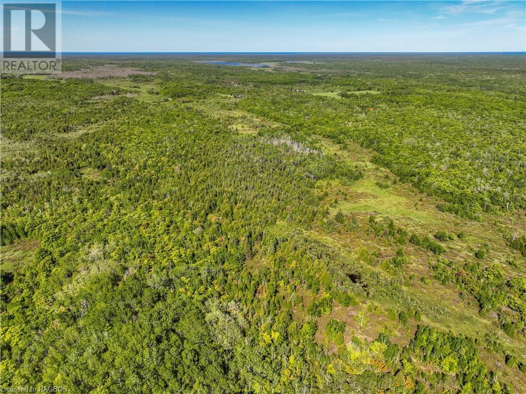 Lot 39 Bartley Drive, Northern Bruce Peninsula, Ontario  N0H 1Z0 - Photo 6 - 40593505