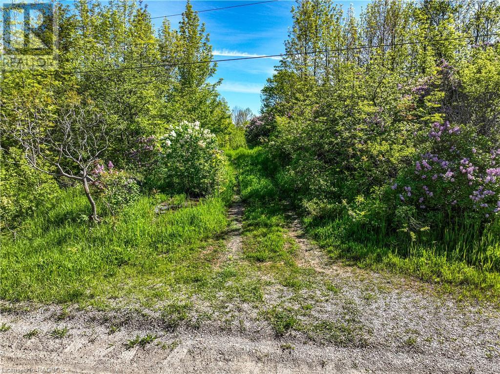 Lot 39 Bartley Drive, Northern Bruce Peninsula, Ontario  N0H 1Z0 - Photo 7 - 40593505