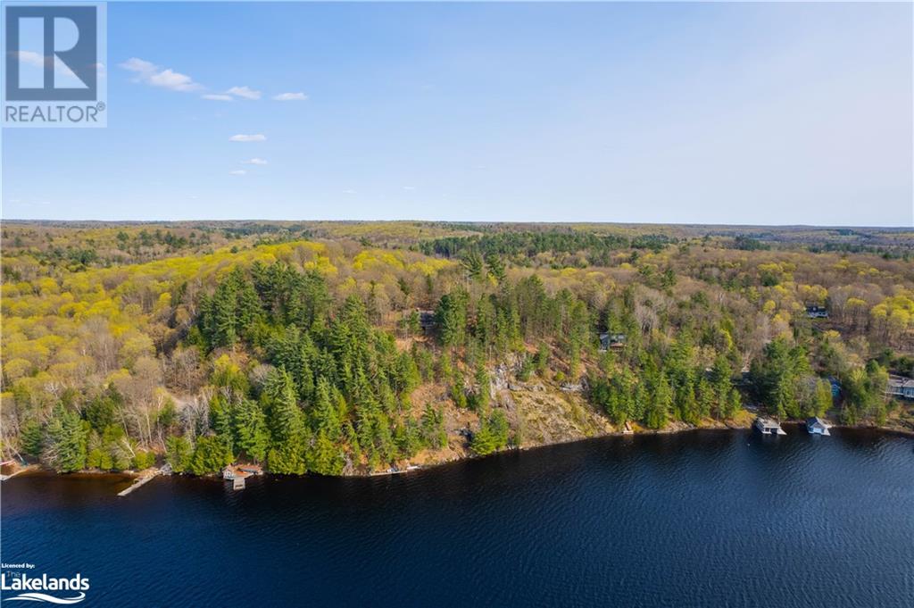 1120 Muskoka 10 Road, Huntsville, Ontario  P0B 1L0 - Photo 42 - 40596057