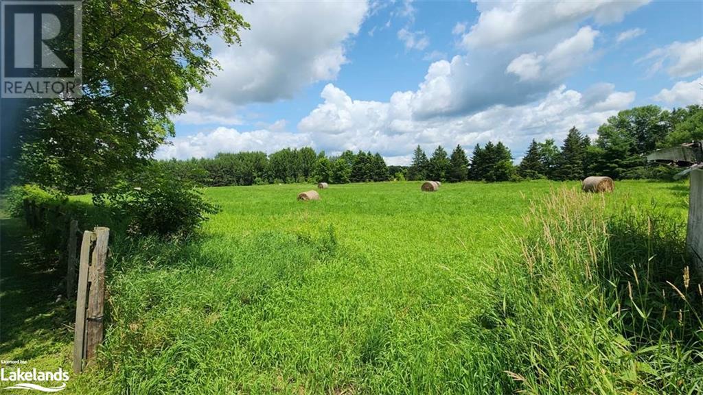 4361 12 Highway S, Ramara, Ontario  L3V 6J6 - Photo 38 - 40597809