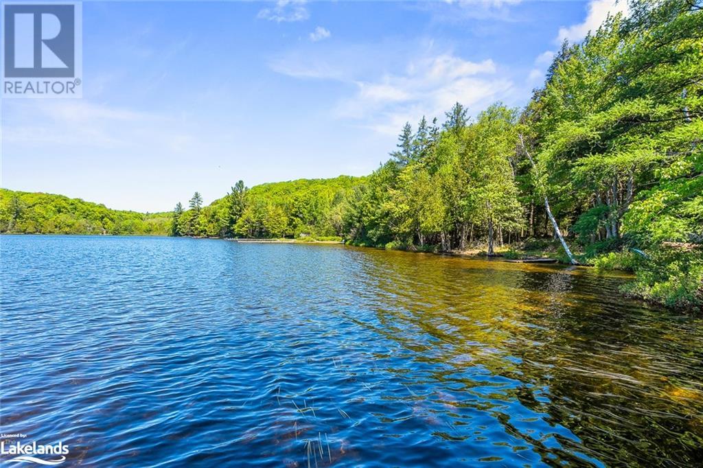 1037 Dudley Road, Haliburton, Ontario  K0M 1S0 - Photo 29 - 40597519