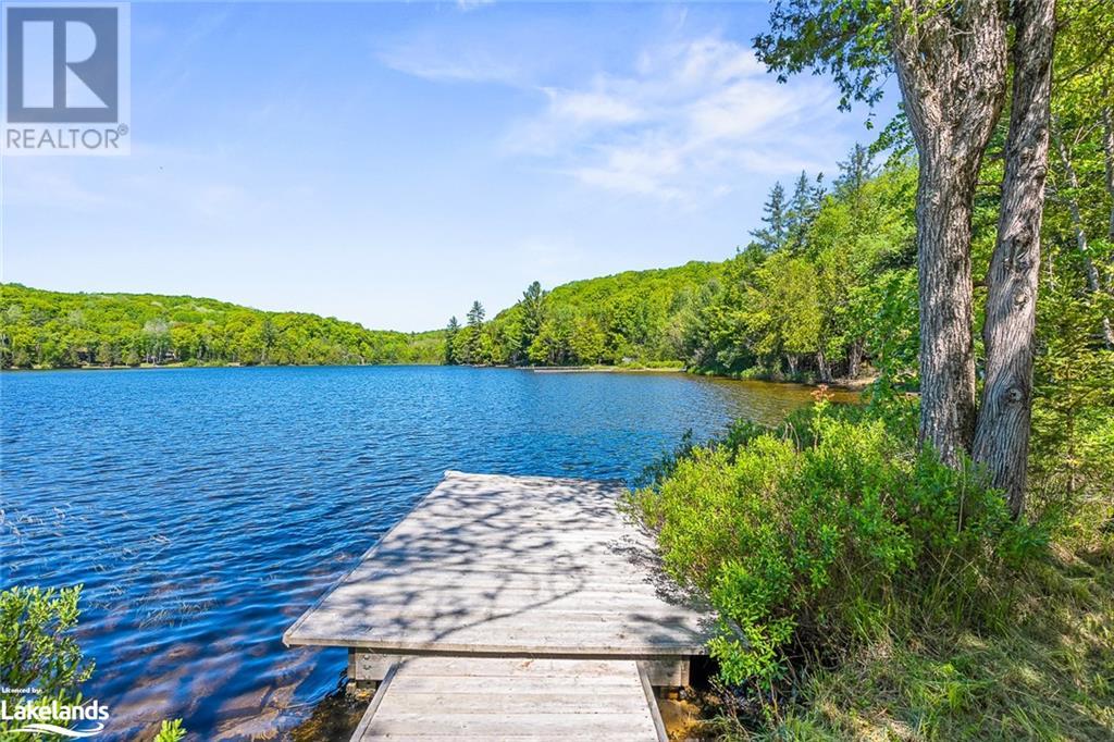 1037 Dudley Road, Haliburton, Ontario  K0M 1S0 - Photo 3 - 40597519