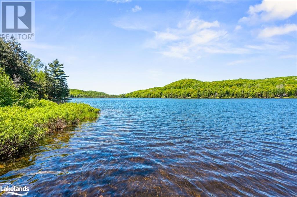 1037 Dudley Road, Haliburton, Ontario  K0M 1S0 - Photo 30 - 40597519