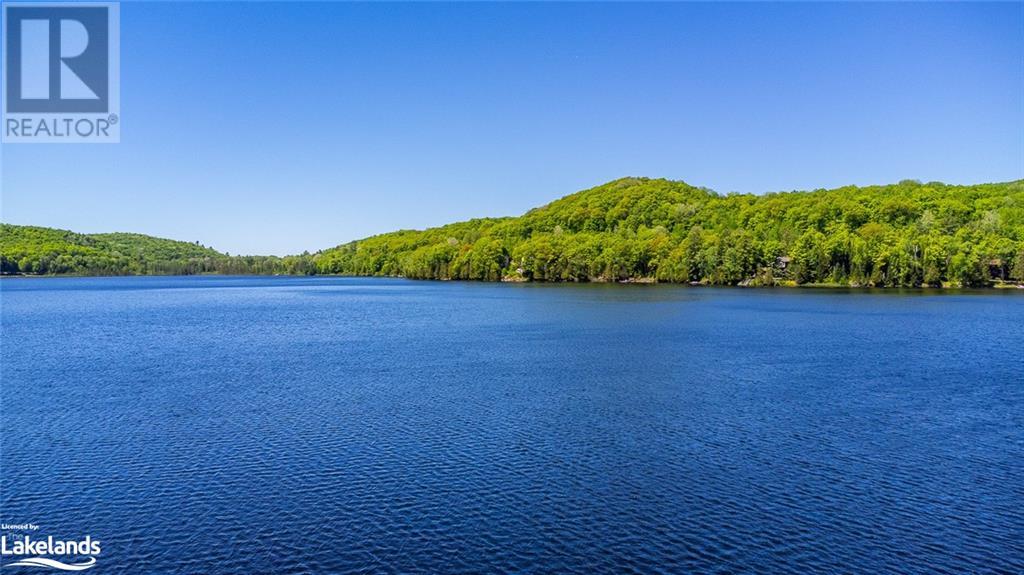 1037 Dudley Road, Haliburton, Ontario  K0M 1S0 - Photo 46 - 40597519
