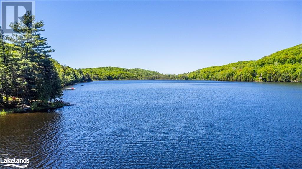 1037 Dudley Road, Haliburton, Ontario  K0M 1S0 - Photo 47 - 40597519
