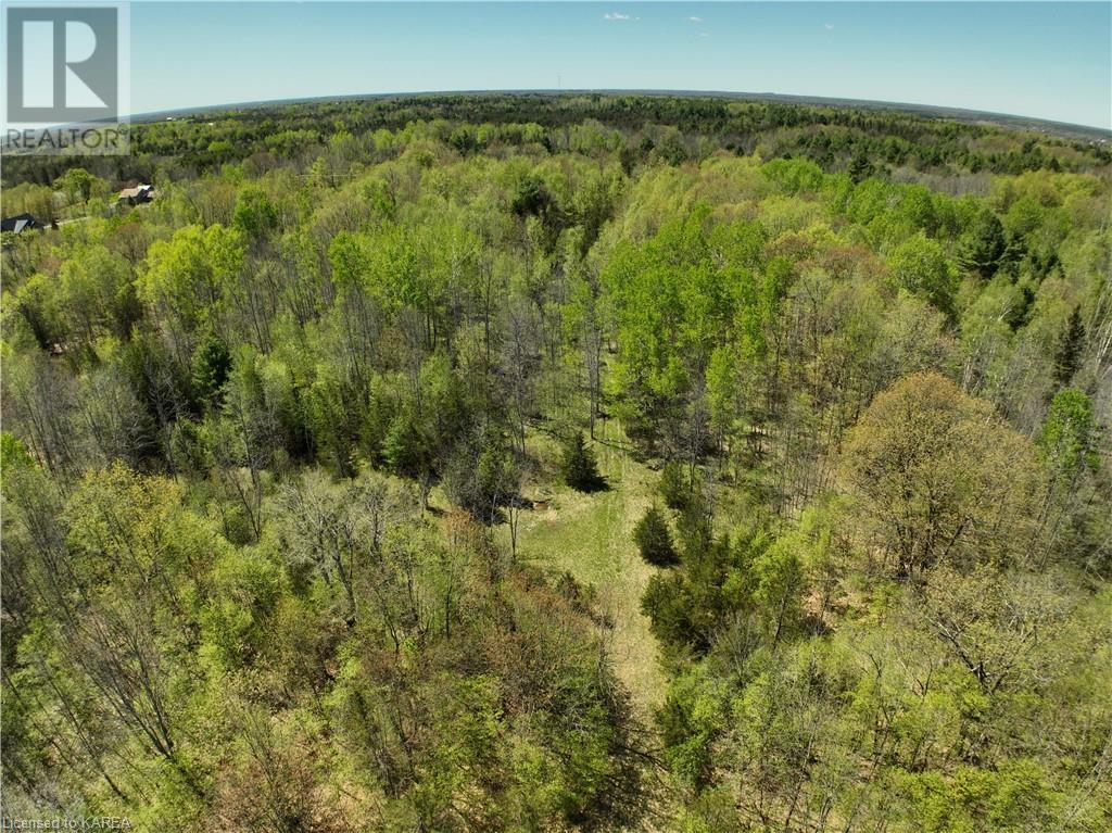 291 Barrett Road, Stone Mills, Ontario  K0K 1N0 - Photo 10 - 40597879