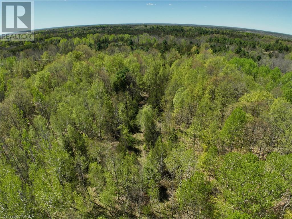 291 Barrett Road, Stone Mills, Ontario  K0K 1N0 - Photo 11 - 40597879
