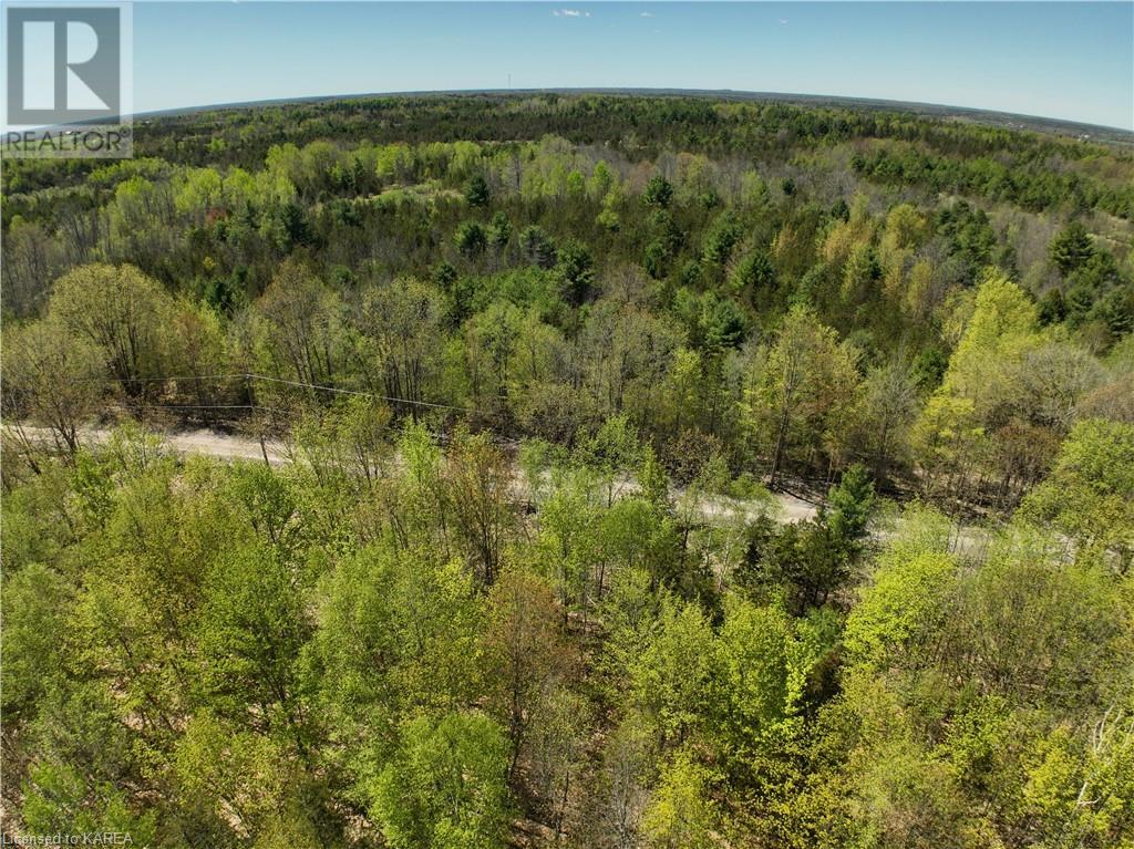 291 Barrett Road, Stone Mills, Ontario  K0K 1N0 - Photo 12 - 40597879