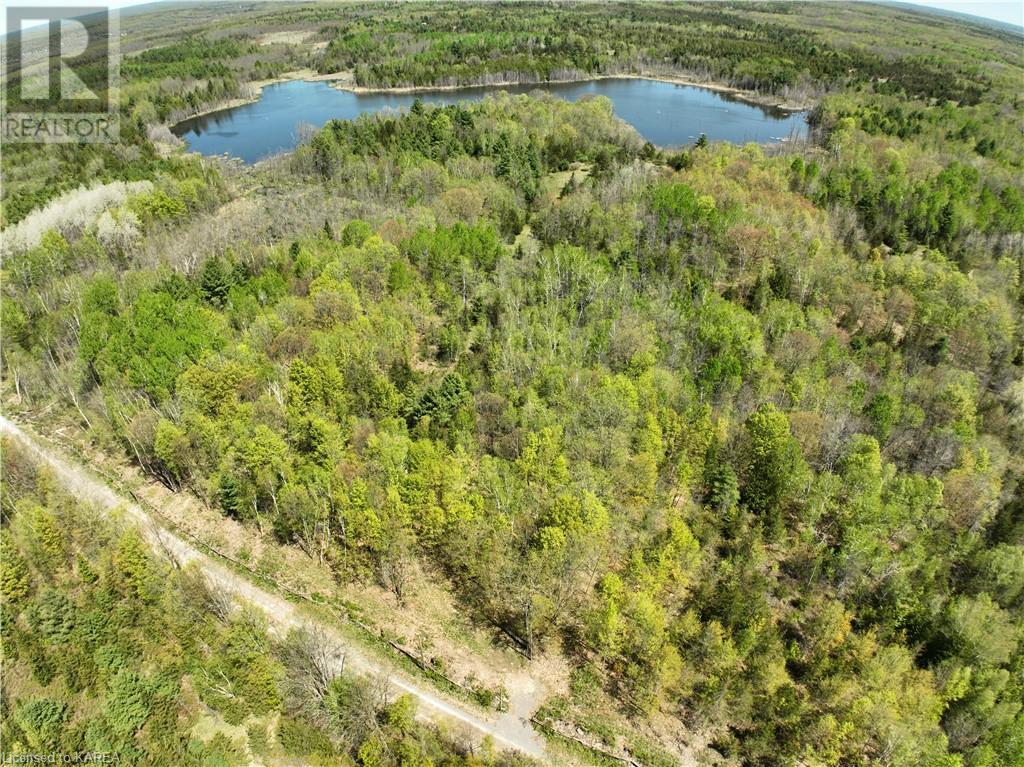 291 Barrett Road, Stone Mills, Ontario  K0K 1N0 - Photo 13 - 40597879