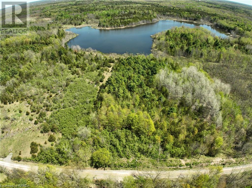 291 Barrett Road, Stone Mills, Ontario  K0K 1N0 - Photo 15 - 40597879