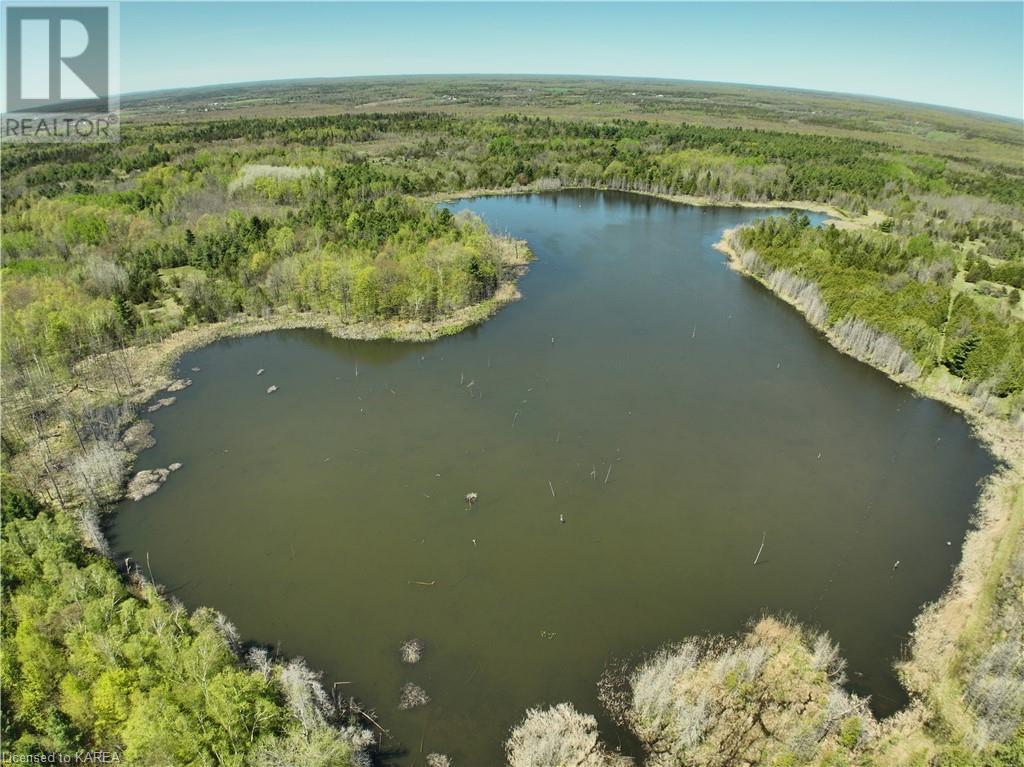 291 Barrett Road, Stone Mills, Ontario  K0K 1N0 - Photo 4 - 40597879