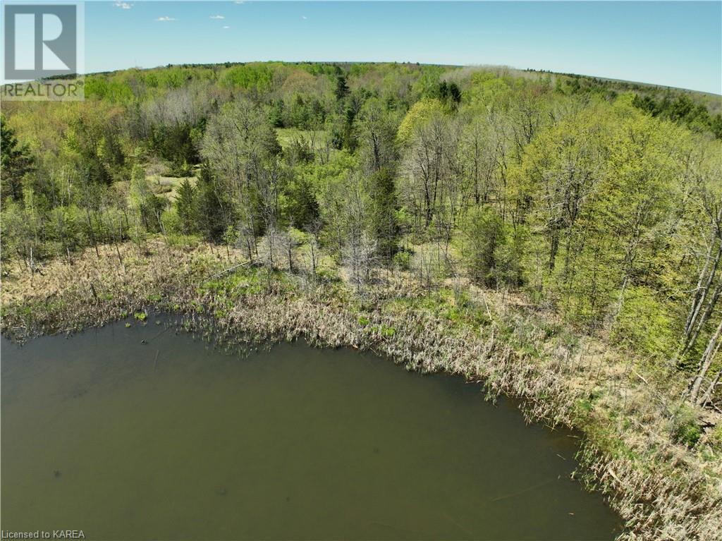 291 Barrett Road, Stone Mills, Ontario  K0K 1N0 - Photo 7 - 40597879