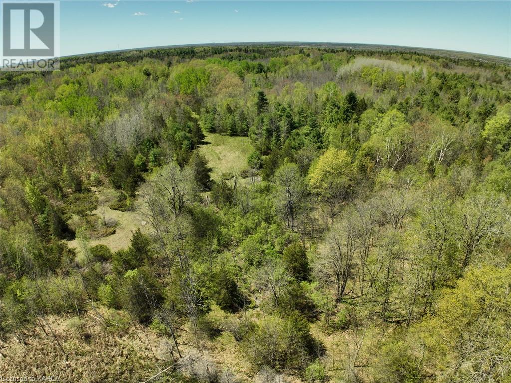 291 Barrett Road, Stone Mills, Ontario  K0K 1N0 - Photo 8 - 40597879