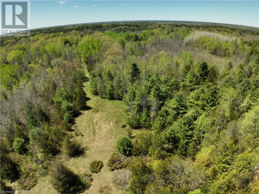 291 Barrett Road, Stone Mills, Ontario  K0K 1N0 - Photo 9 - 40597879