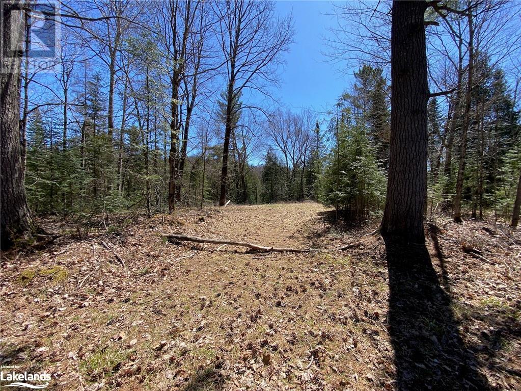 75 Ripple Lane, Huntsville, Ontario  P1H 2J4 - Photo 4 - 40581877