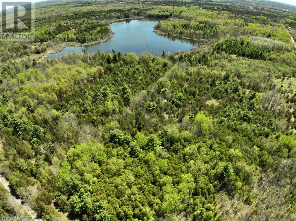 371 Barrett Road, Stone Mills, Ontario  K0K 1N0 - Photo 10 - 40597445