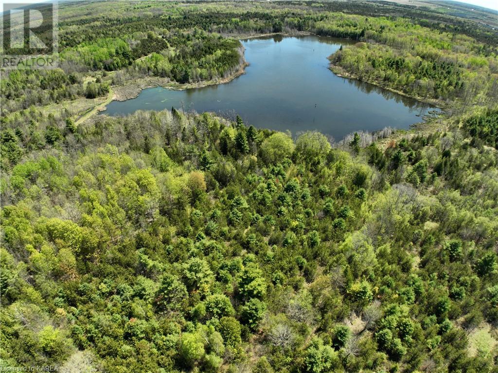 371 Barrett Road, Stone Mills, Ontario  K0K 1N0 - Photo 11 - 40597445