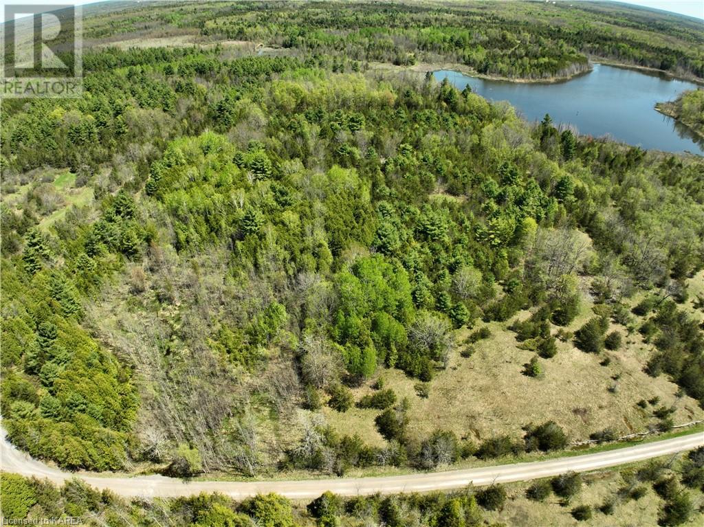 371 Barrett Road, Stone Mills, Ontario  K0K 1N0 - Photo 6 - 40597445