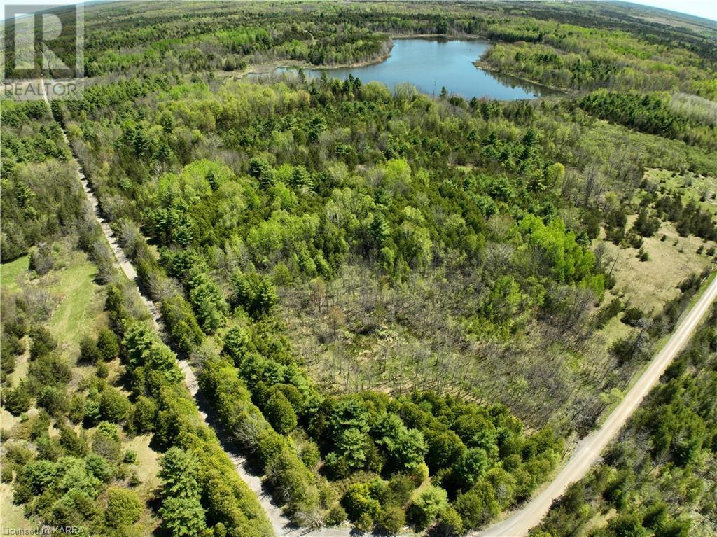 371 Barrett Road, Stone Mills, Ontario  K0K 1N0 - Photo 7 - 40597445