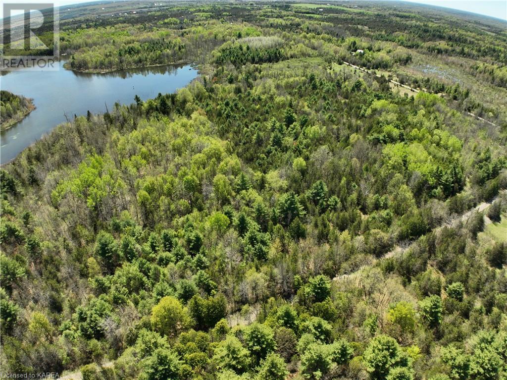371 Barrett Road, Stone Mills, Ontario  K0K 1N0 - Photo 9 - 40597445
