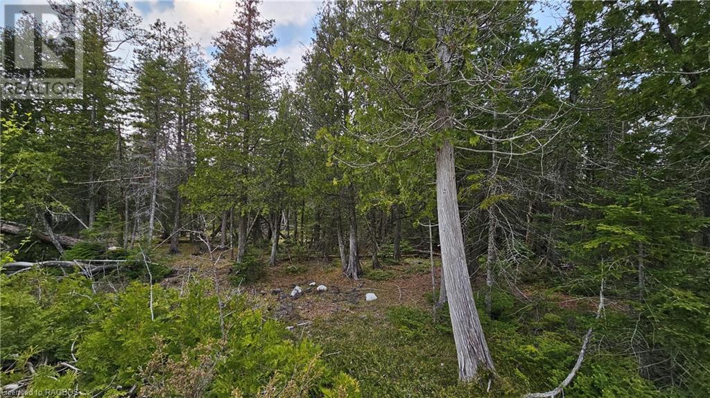 Lt 254 Pl 433 Dorcas Bay Road, Northern Bruce Peninsula, Ontario  N0H 2R0 - Photo 1 - 40588506