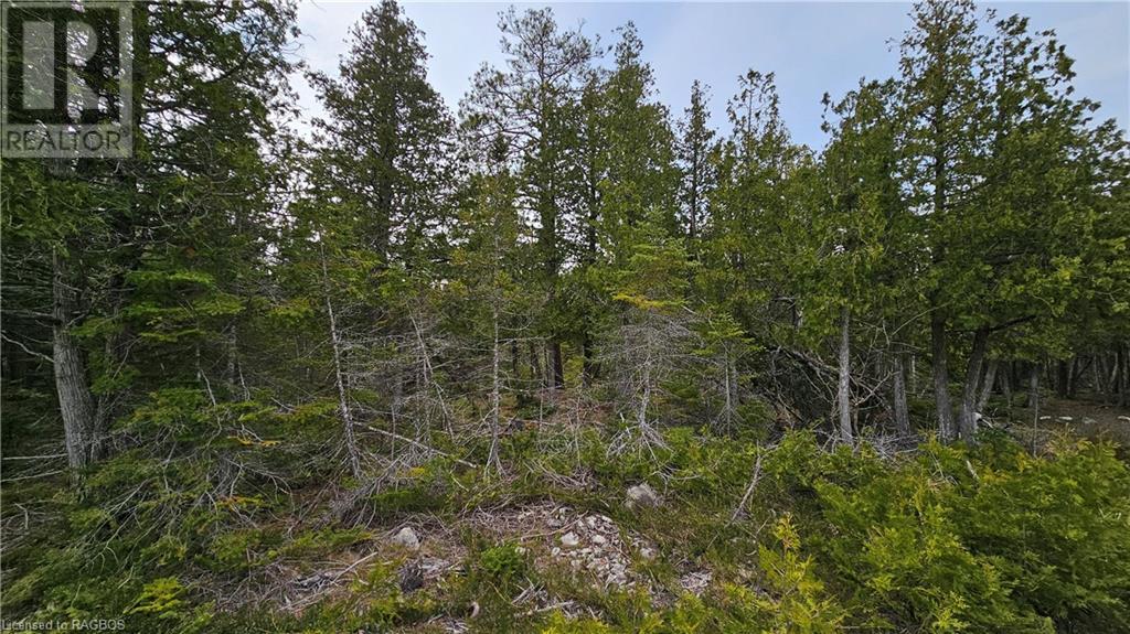 Lt 255 Pl 433 Pedwell Pt Drive, Northern Bruce Peninsula, Ontario  N0H 2R0 - Photo 10 - 40588470