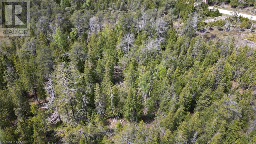 Lt 255 Pl 433 Pedwell Pt Drive, Northern Bruce Peninsula, Ontario  N0H 2R0 - Photo 22 - 40588470